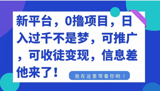 不要再花冤枉钱了，0撸项目，每天坚持，稳定1000+