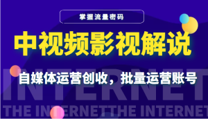 【视频课程】中视频影视解说：掌握流量密码，自媒体运营创收，批量运营账号-闲乐解说文案网插图