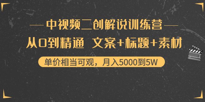 【视频课程】中视频二创解说训练营：从0到精通，文案+标题+素材，月入5000到5W-闲乐解说文案网插图